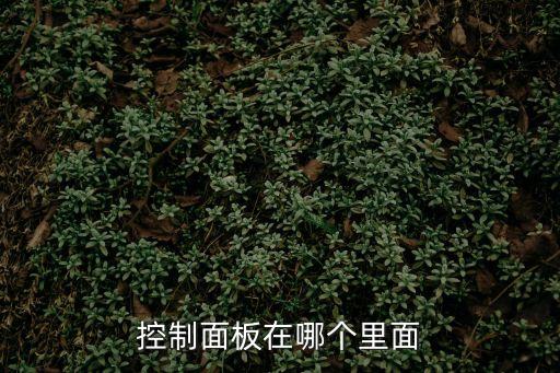 控制面板在哪里，控制面板在哪個里面