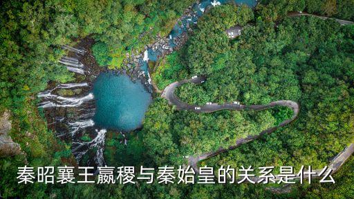 秦昭襄王嬴稷與秦始皇的關系是什么