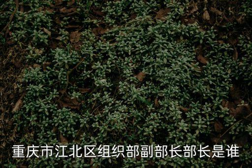 重慶市江北區(qū)組織部副部長部長是誰