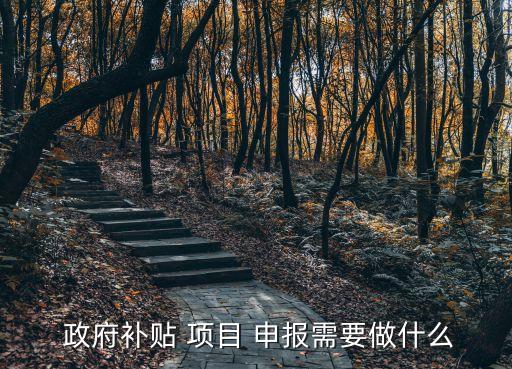  政府補(bǔ)貼 項(xiàng)目 申報(bào)需要做什么