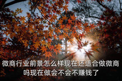 微商行業(yè)前景怎么樣現(xiàn)在還適合做微商嗎現(xiàn)在做會不會不賺錢了
