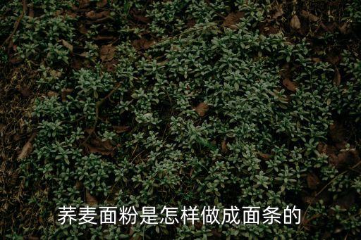 蕎麥面粉是怎樣做成面條的