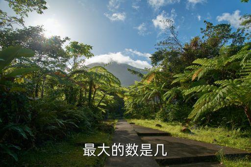 最大的數是幾