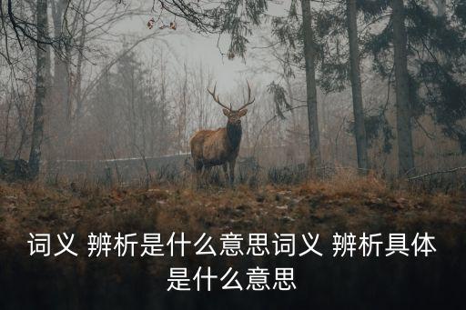 詞義 辨析是什么意思詞義 辨析具體是什么意思