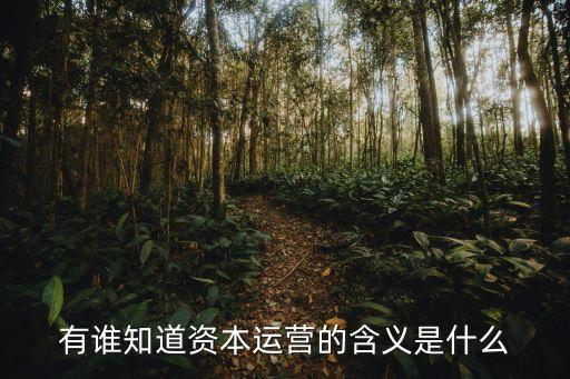 有誰知道資本運營的含義是什么