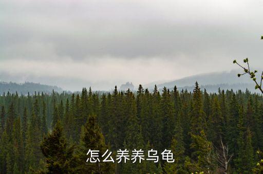 怎么養養烏龜