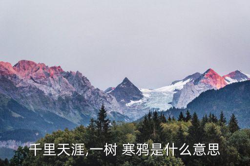 千里天涯,一樹 寒鴉是什么意思