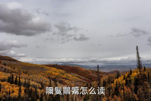 鬕,武漢出現(xiàn)一起疑似病例的炸彈