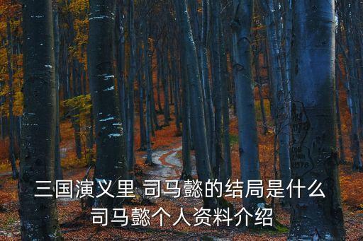 三國司馬懿,司馬懿吊墜如何打開吸引重疊傷害?