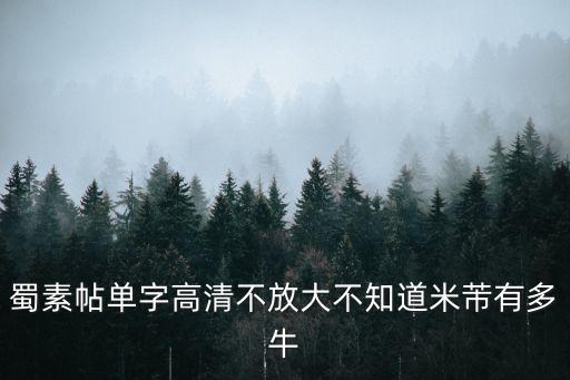 蜀素帖，蜀素帖題跋的釋文 前后兩個題跋董其昌的
