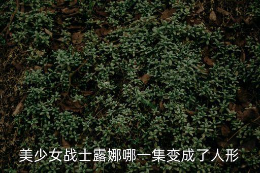 美少女戰士露娜哪一集變成了人形