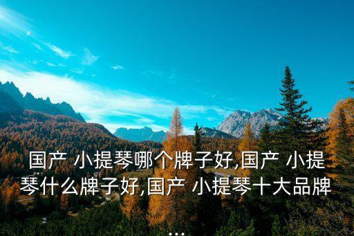 小提琴品牌,愛琴海小提琴工作室馬明偉是騙子被騙