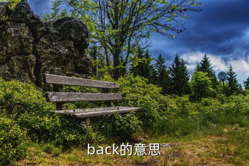 back,投票日倒數第二輪投票結果出爐