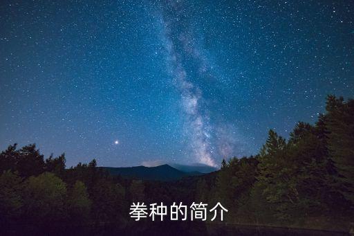  拳種的簡介