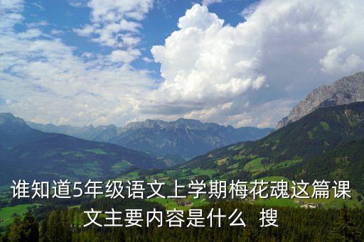 誰知道5年級語文上學期梅花魂這篇課文主要內(nèi)容是什么  搜
