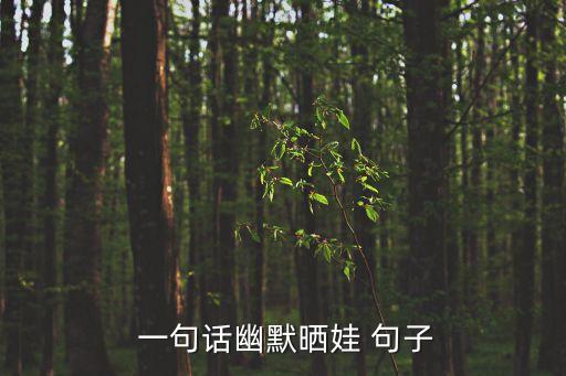  一句話幽默曬娃 句子