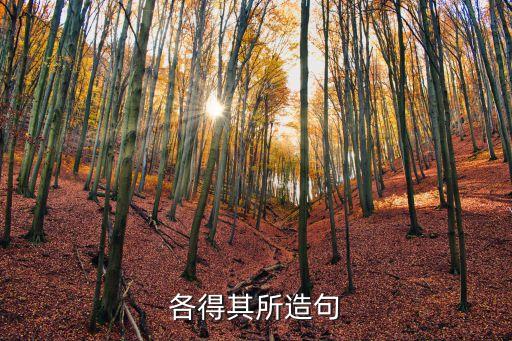 用各得其所造句，造句各其所得