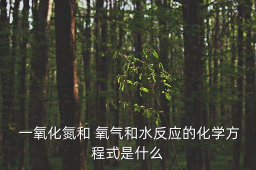  一氧化氮和 氧氣和水反應的化學方程式是什么
