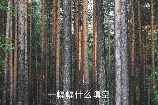 一幅幅什么填空