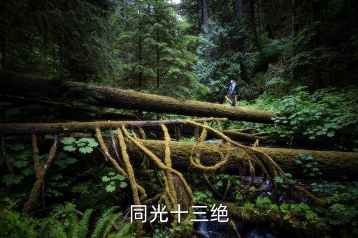 同光名伶十三絕，同光十三絕的介紹