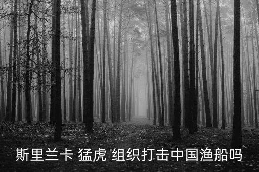 斯里蘭卡 猛虎 組織打擊中國漁船嗎