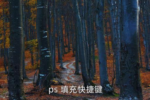 ps怎么填充,ps怎么用?