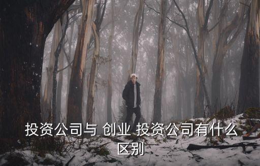  投資公司與 創(chuàng)業(yè) 投資公司有什么區(qū)別