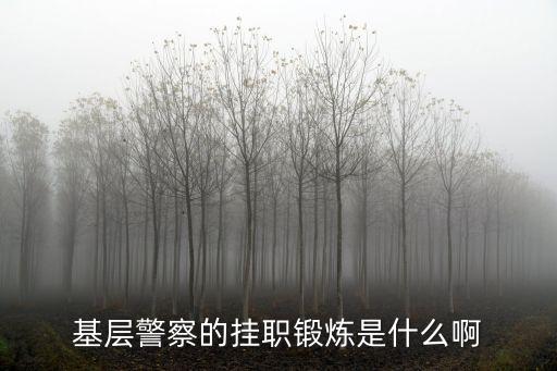 基層警察的掛職鍛煉是什么啊