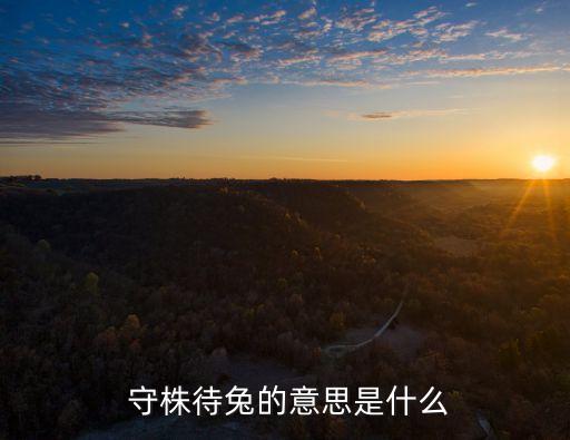  守株待兔的意思是什么