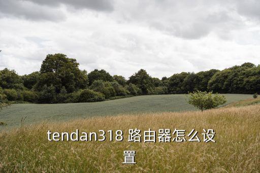  tendan318 路由器怎么設置