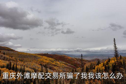 重慶外灘摩配交易所騙了我我該怎么辦