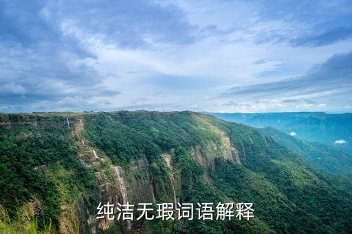 純潔無瑕詞語解釋