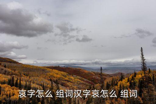 哀字怎么 組詞漢字哀怎么 組詞