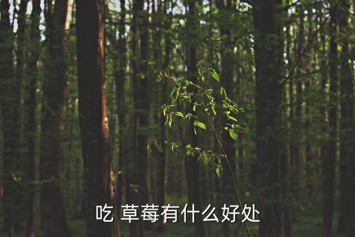 吃 草莓有什么好處