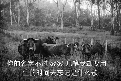 你的名字不過 寥寥 幾筆我卻要用一生的時間去忘記是什么歌