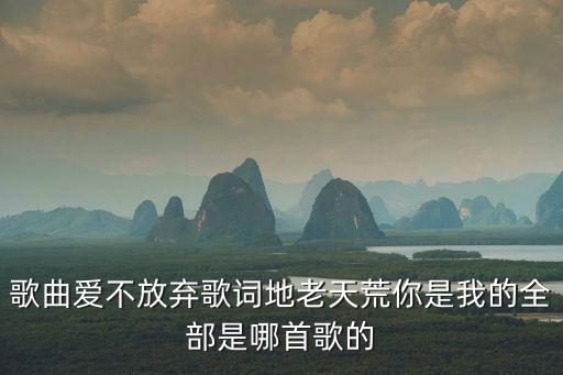 歌曲愛不放棄歌詞地老天荒你是我的全部是哪首歌的