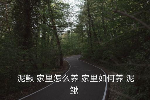泥鰍怎么養(yǎng)在家里,水族箱養(yǎng)殖泥鰍注意事項(xiàng)