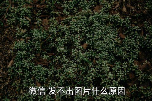  微信 發不出圖片什么原因