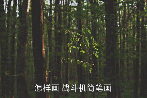 怎樣畫 戰(zhàn)斗機(jī)簡(jiǎn)筆畫