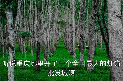 聽說重慶哪里開了一個全國最大的燈飾批發城啊