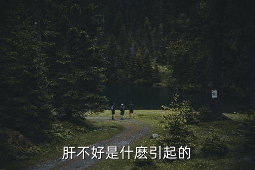 肝不好是什麼引起的