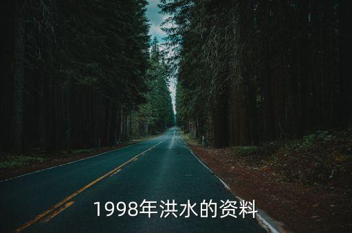 1998年大洪水，1998年洪水災(zāi)害