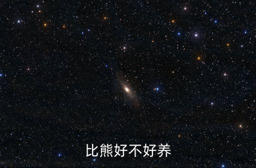 比熊好養(yǎng)嗎，比熊狗好養(yǎng)嗎