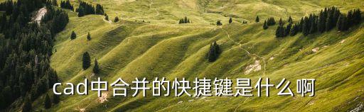  cad中合并的快捷鍵是什么啊