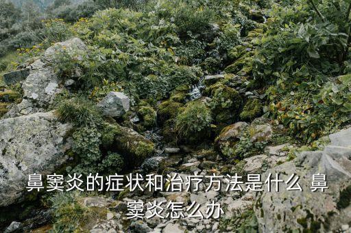 鼻竇的作用,正確鼻涕方法會增加鼻腔壓力和引流不暢
