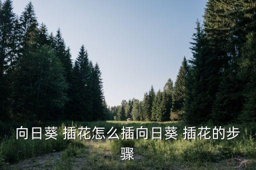 怎么插花,插花講究黃金比例造型和視覺都能統一