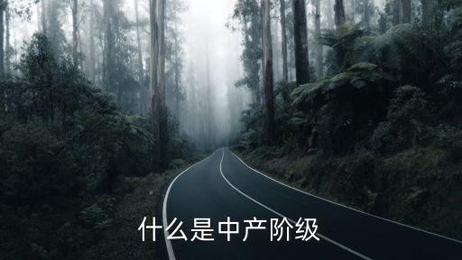 什么是中產(chǎn)階級(jí)