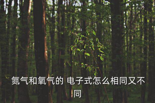  氮氣和氧氣的 電子式怎么相同又不同