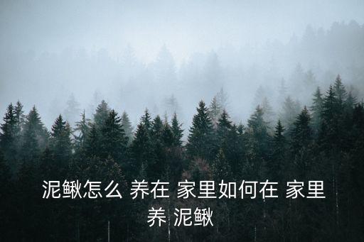  泥鰍怎么 養(yǎng)在 家里如何在 家里養(yǎng) 泥鰍