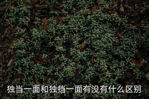 獨當一面和獨擋一面有沒有什么區別